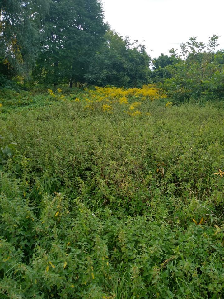 Działka budowlana Bielsko-Biała Komorowice Krakowskie, ul. Dusznicka. Zdjęcie 2