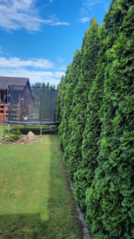 Działka rod Gdańsk. Zdjęcie 6