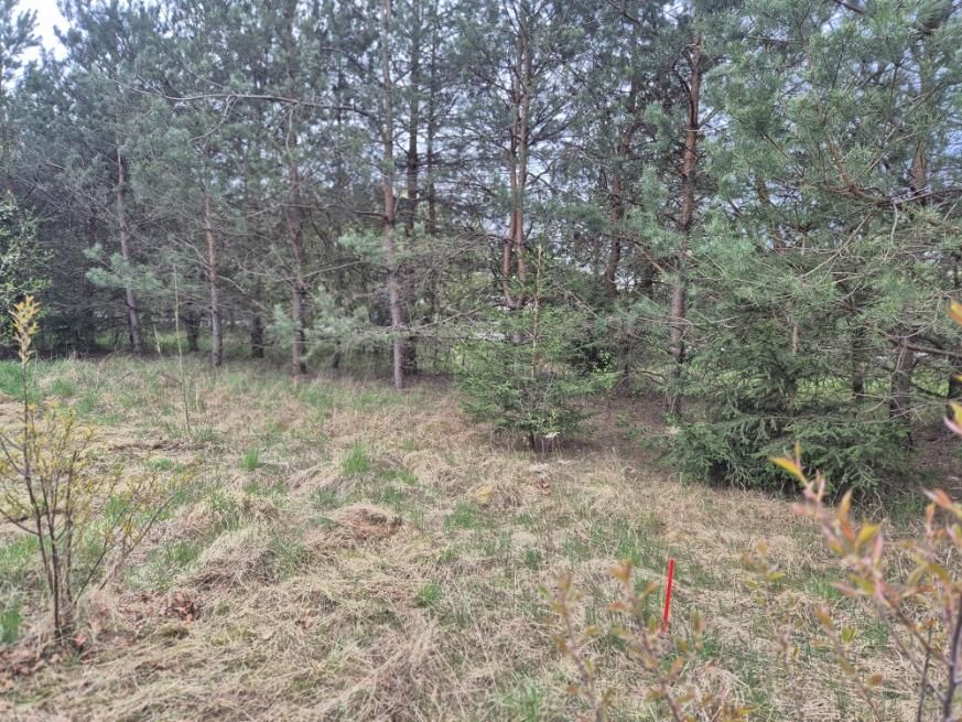 Działka rolna Stanisławowo, ul. Słonecznikowa. Zdjęcie 2