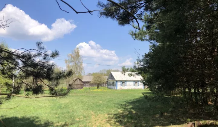 Działka rolno-budowlana Wólka Leśna