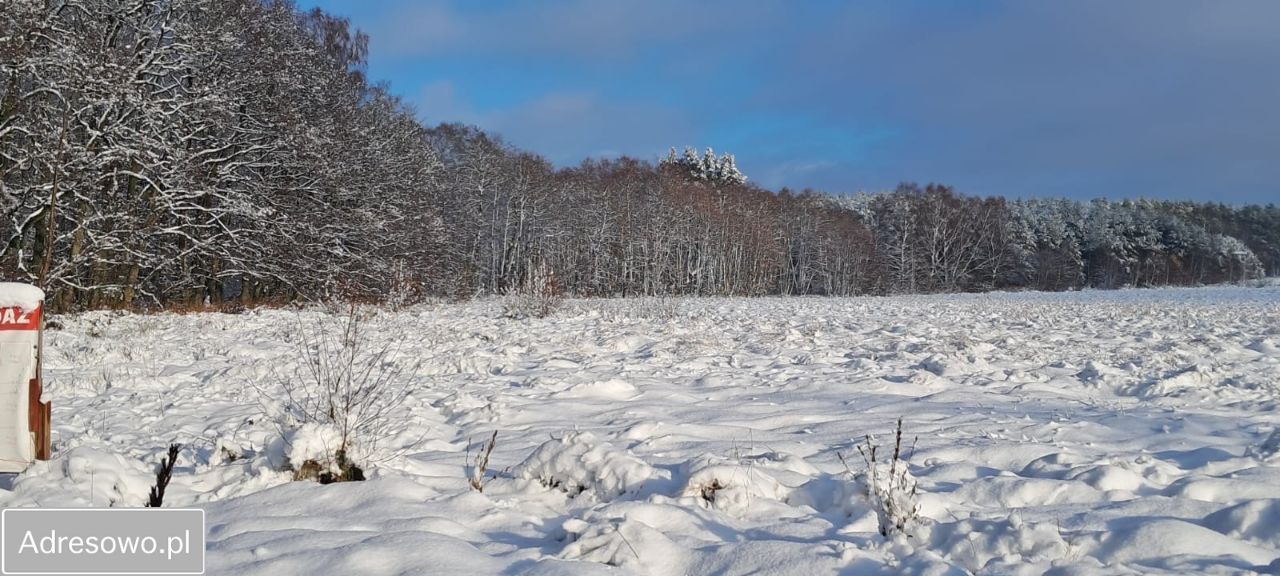Działka rekreacyjna Kierzkowo. Zdjęcie 6