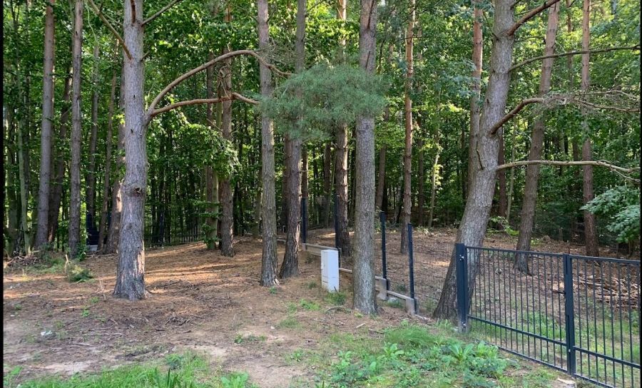 Działka rod Gdańsk Matarnia, ul. mjr. Mieczysława Słabego. Zdjęcie 3