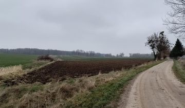 Działka rolna Wielowieś