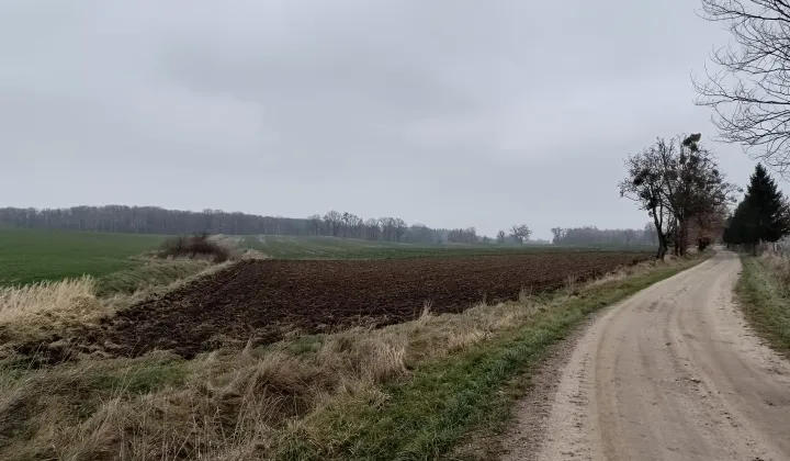 Działka rolna Wielowieś