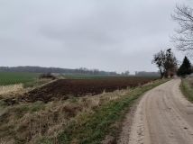 Działka rolna Wielowieś