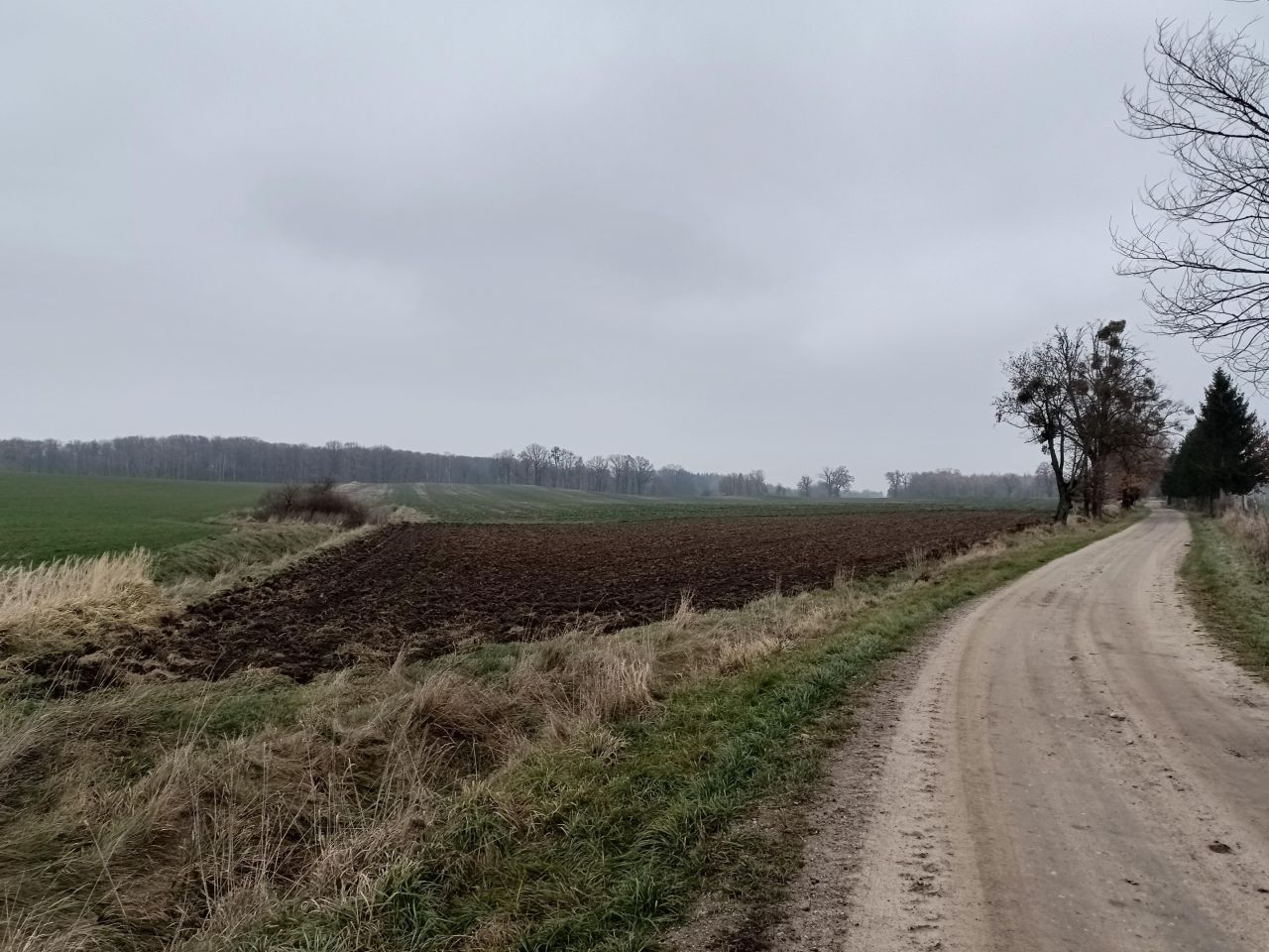 Działka rolna Wielowieś