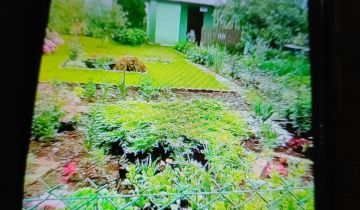 Działka rekreacyjna Suwałki, ul. Sianożęć