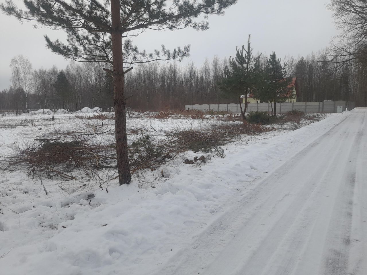 Działka budowlana Samsonów-Podlesie. Zdjęcie 3