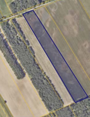 Działka rolna Kolno, ul. Łabno Duże. Zdjęcie 1