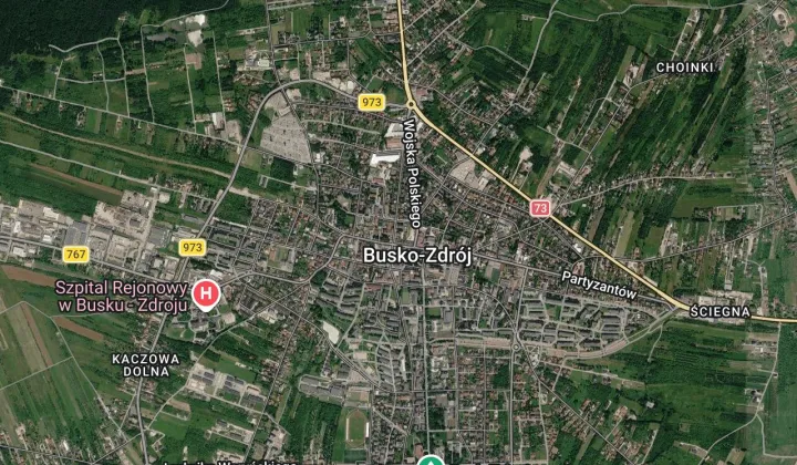 Lokal Busko-Zdrój Centrum, ul. Stanisława Staszica