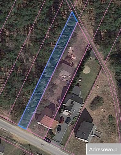 Działka leśna Cadów. Zdjęcie 2