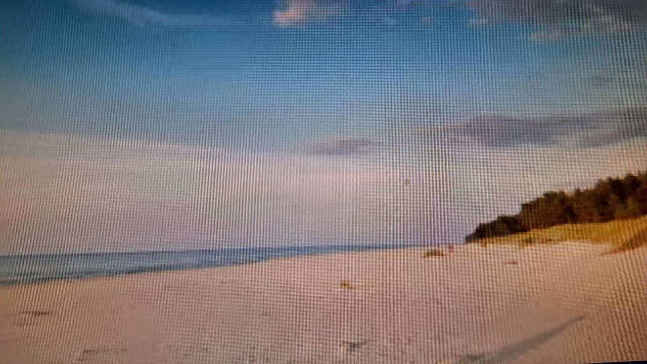 Działka rolna Białogóra. Zdjęcie 8