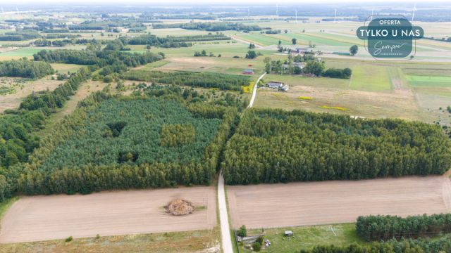 Działka budowlana Rojków. Zdjęcie 10