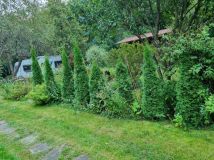 Działka rod Łódź Polesie, ul. Konstantynowska. Zdjęcie 2