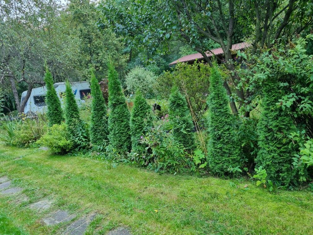 Działka rod Łódź Polesie, ul. Konstantynowska. Zdjęcie 3