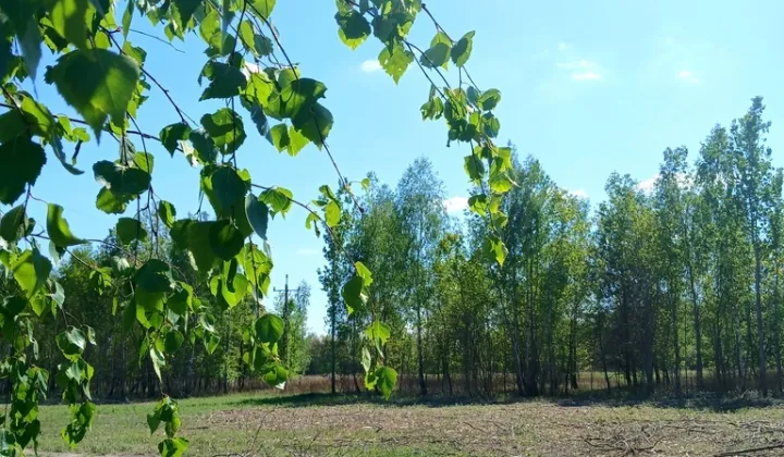 Działka budowlana Koryta