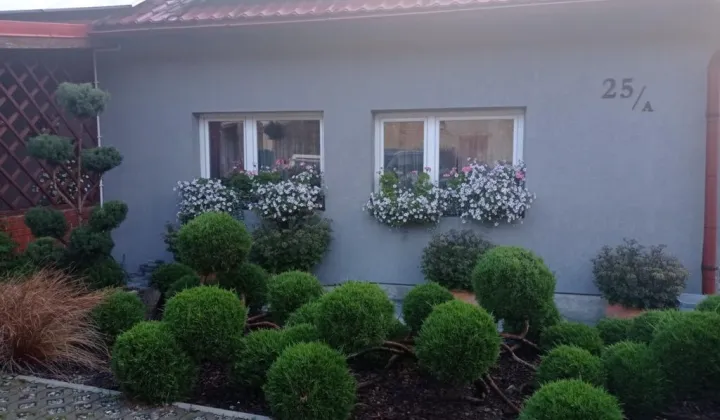 bliźniak Czarny Kierz