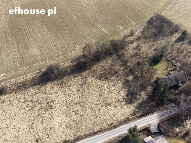 Działka budowlana Dobrylewo. Zdjęcie 2