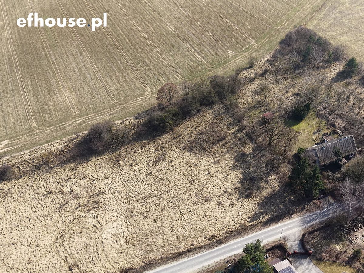 Działka budowlana Dobrylewo. Zdjęcie 2