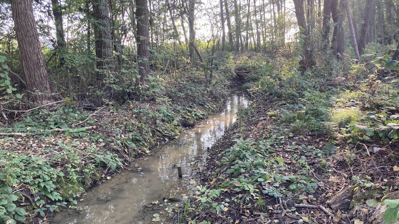 Działka inna Potaśnia, ul. Czereśniowa. Zdjęcie 3