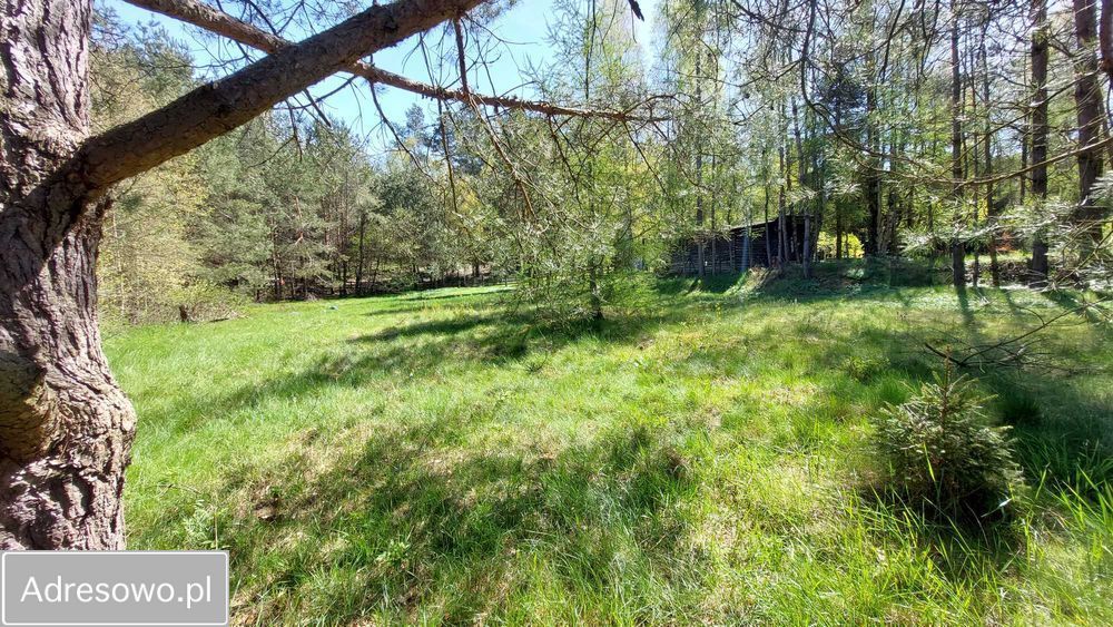 Działka rolno-budowlana Łyśniewo Sierakowickie, ul. Osiedle Sosnowe. Zdjęcie 4