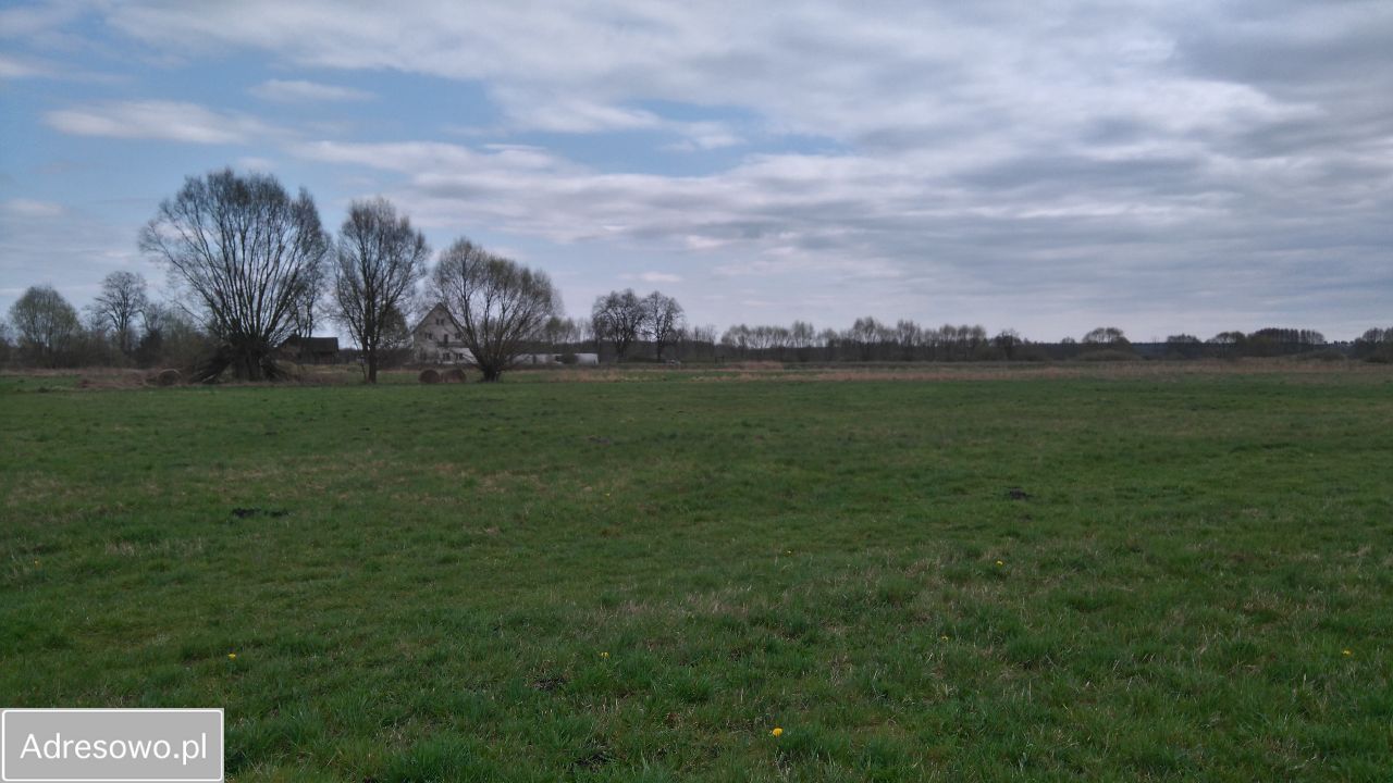 Działka rolno-budowlana Płonica. Zdjęcie 6