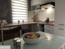 Działka rod Wrzosowo. Zdjęcie 1