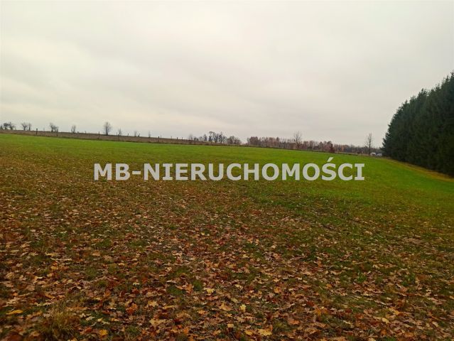 Działka rekreacyjna Skarpa. Zdjęcie 5