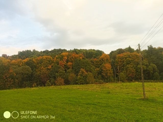 Działka rolno-budowlana Golcowa. Zdjęcie 1