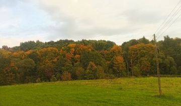 Działka rolno-budowlana Golcowa