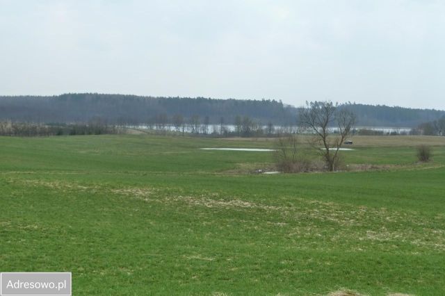 Działka budowlana Orło. Zdjęcie 4