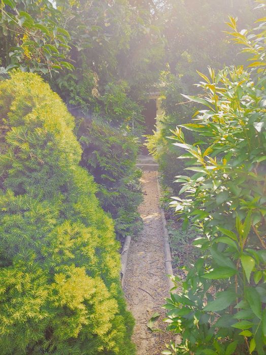 Działka rod Lublin Sławinek, al. Warszawska. Zdjęcie 4