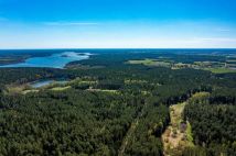 Działka budowlana Dobry Lasek. Zdjęcie 2