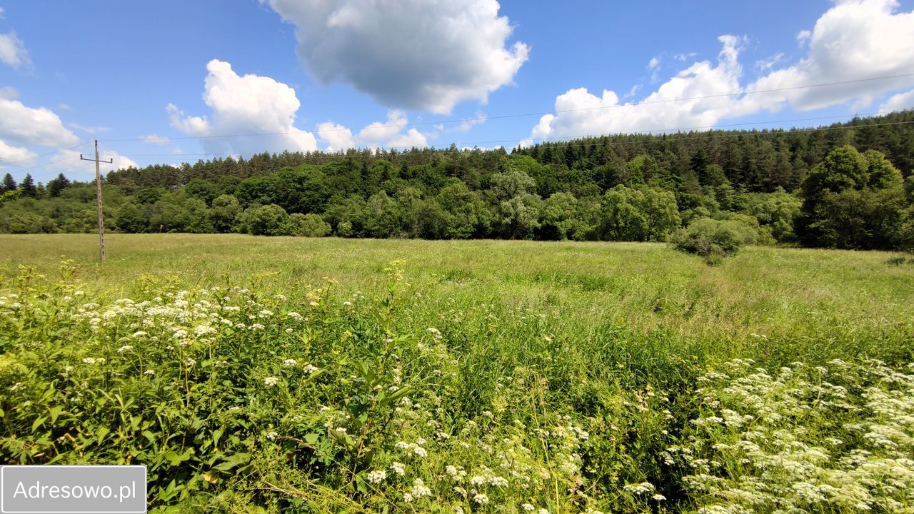 Działka rolna Trzcianiec. Zdjęcie 5