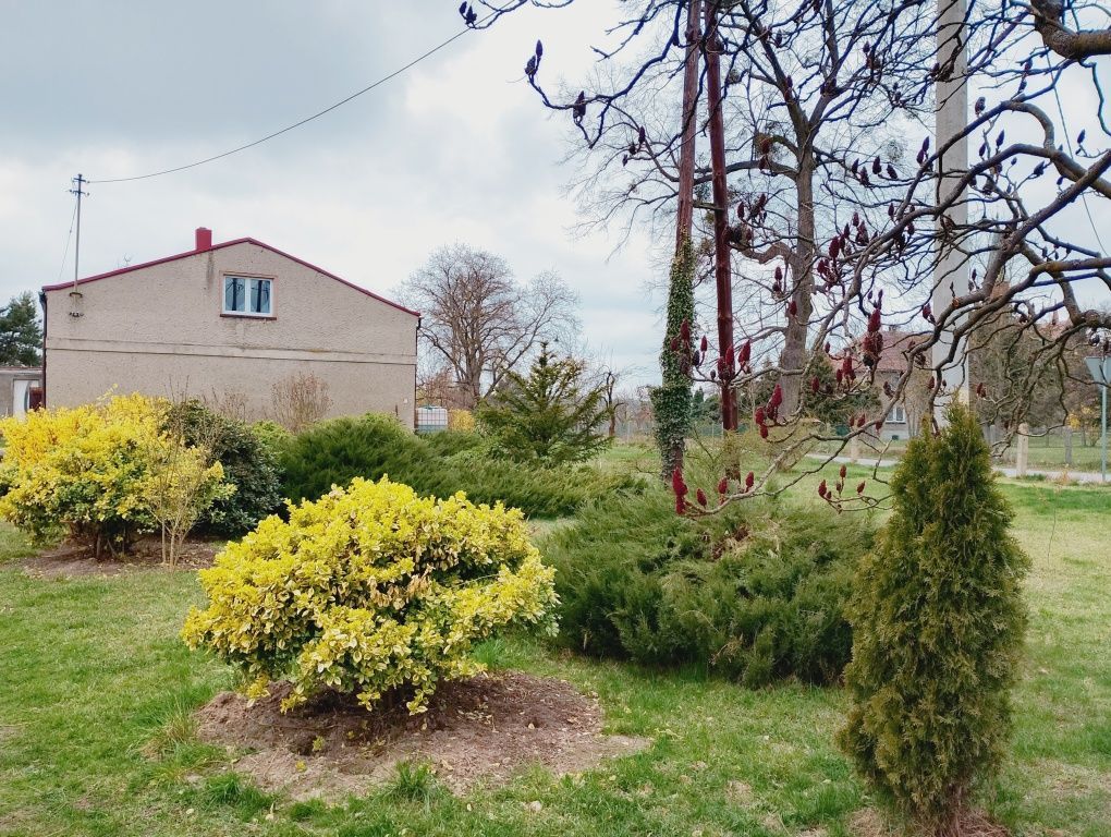 dom wolnostojący Szymonków. Zdjęcie 2