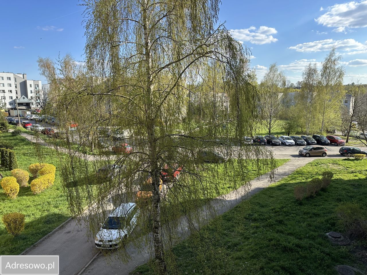 Mieszkanie 3-pokojowe Sosnowiec Zagórze, ul. gen. Władysława Sikorskiego. Zdjęcie 8