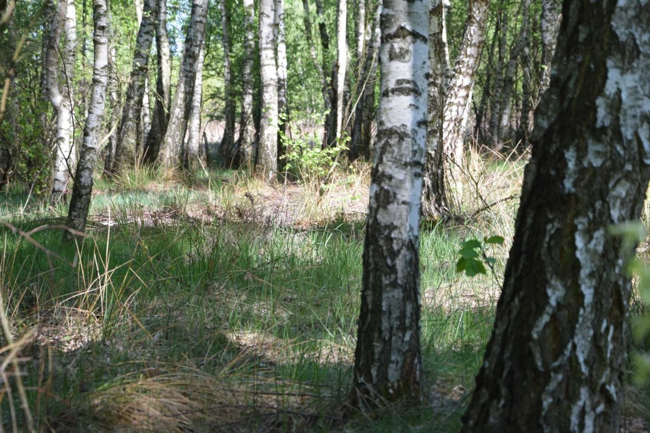 Działka budowlana Zawieprzyce-Kolonia. Zdjęcie 1