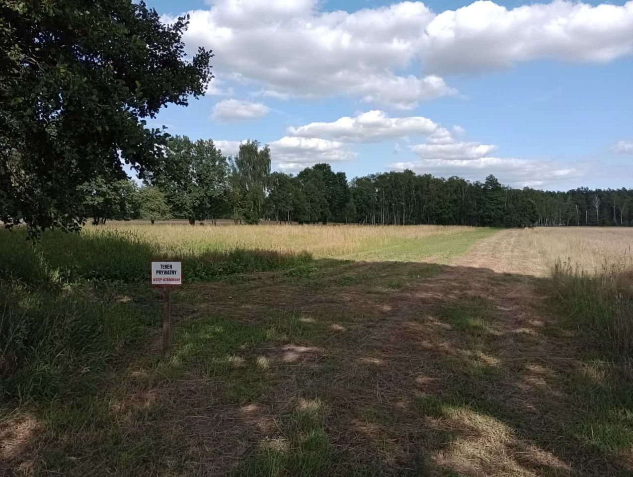 Działka budowlana Nowy Olesiec. Zdjęcie 5
