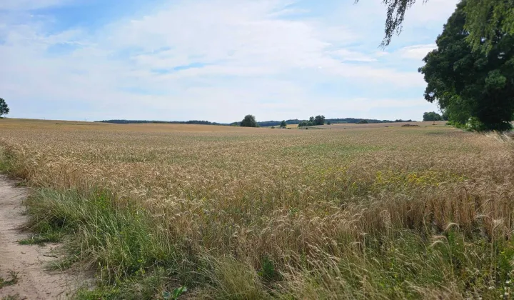 Działka budowlana Łąkie