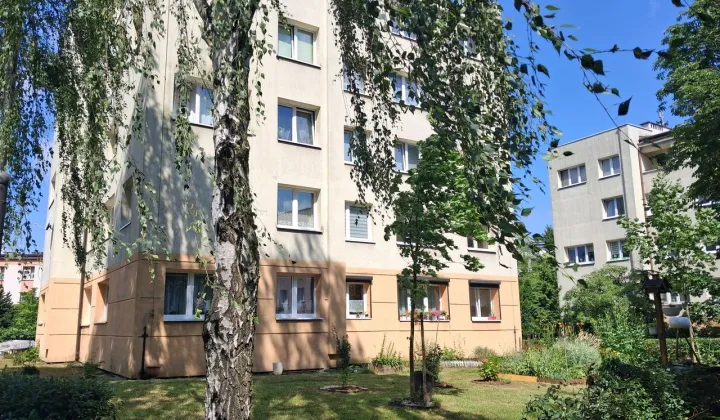 Mieszkanie 3-pokojowe Katowice Śródmieście, ul. ks. bp. Teodora Kubiny