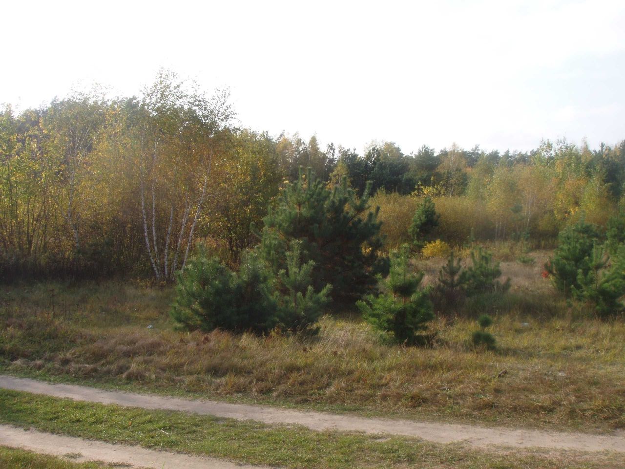 Działka budowlana Nuna. Zdjęcie 7