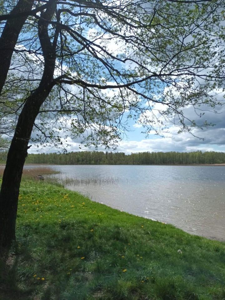 siedlisko Kolonia. Zdjęcie 2