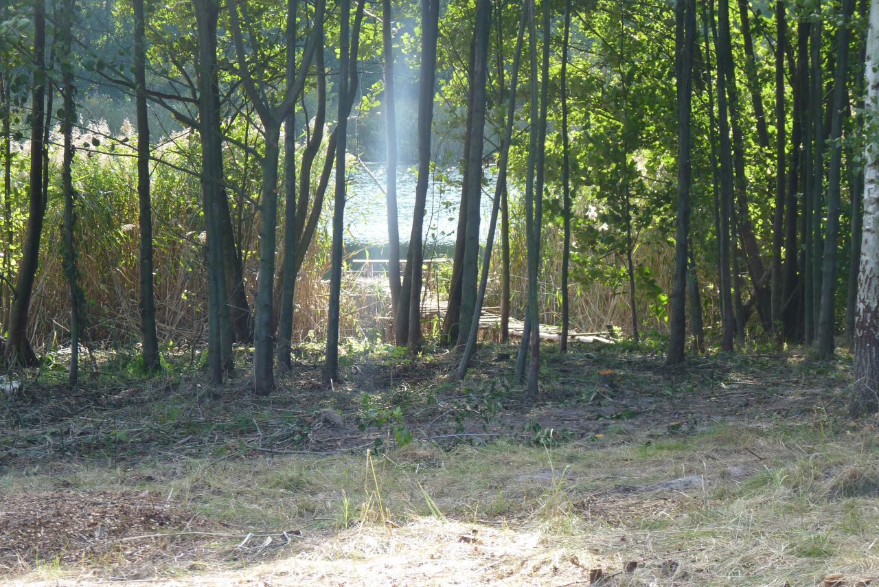 Działka rolna Zieleniewo. Zdjęcie 3