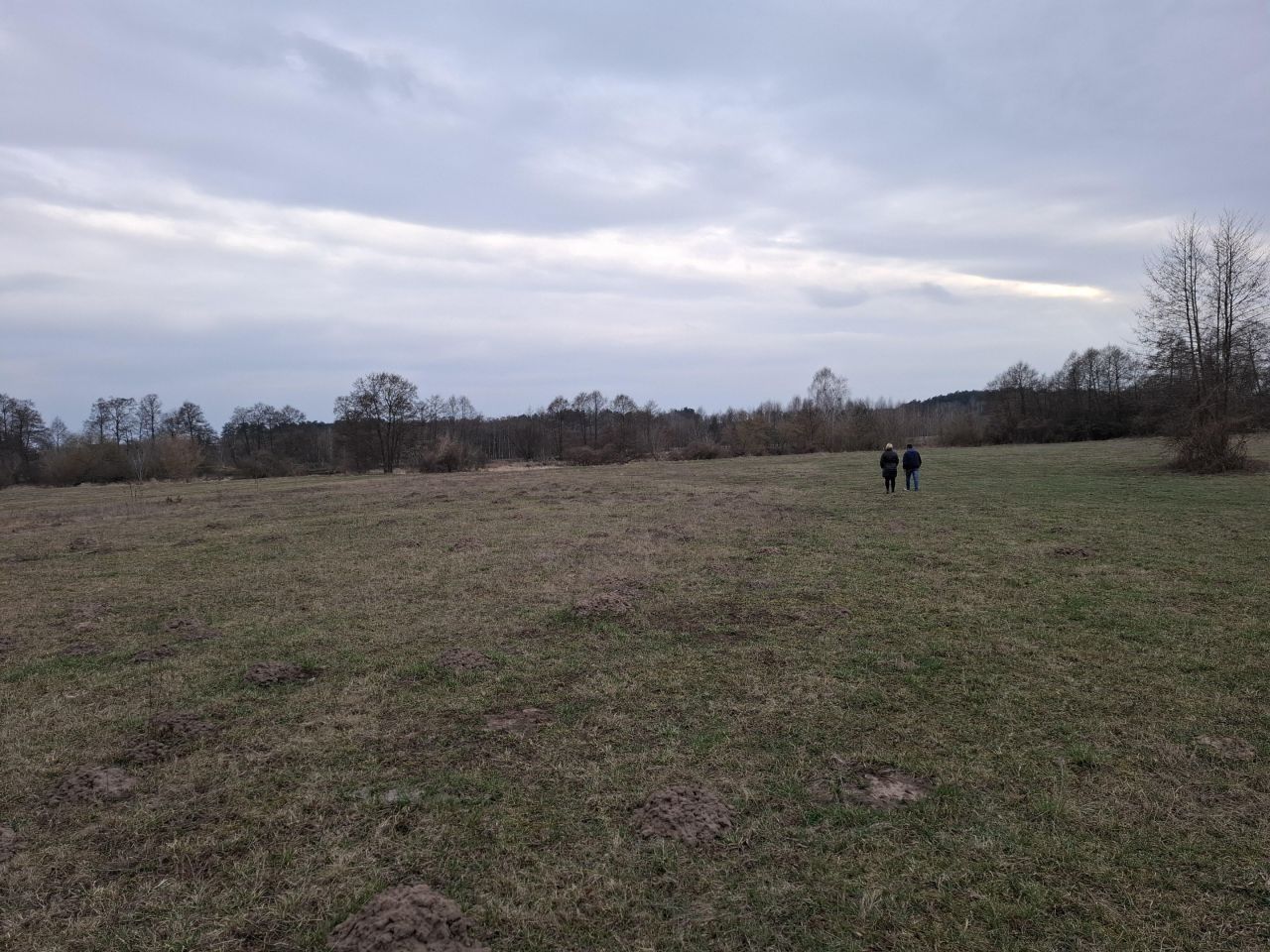 Działka rolna Krajęczyn. Zdjęcie 3