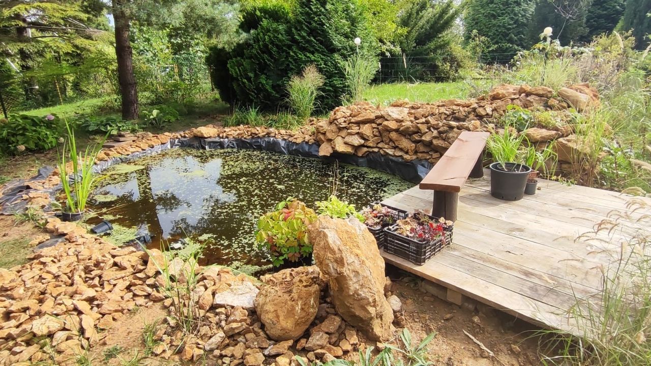 Działka rod Sosnowiec Pogoń. Zdjęcie 8