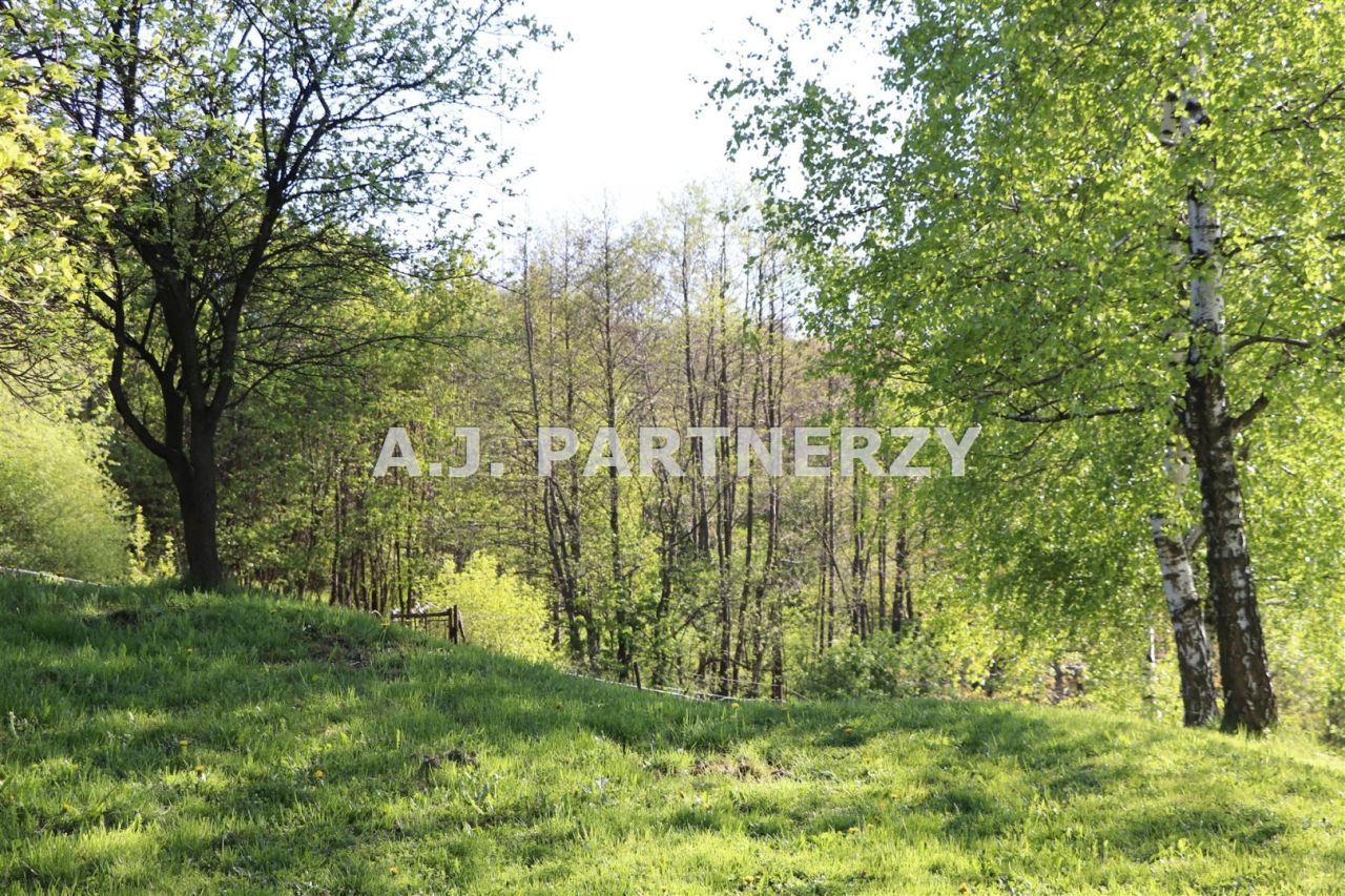 Działka Lednica Górna. Zdjęcie 2