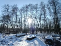 Działka budowlana Bedoń Przykościelny. Zdjęcie 3