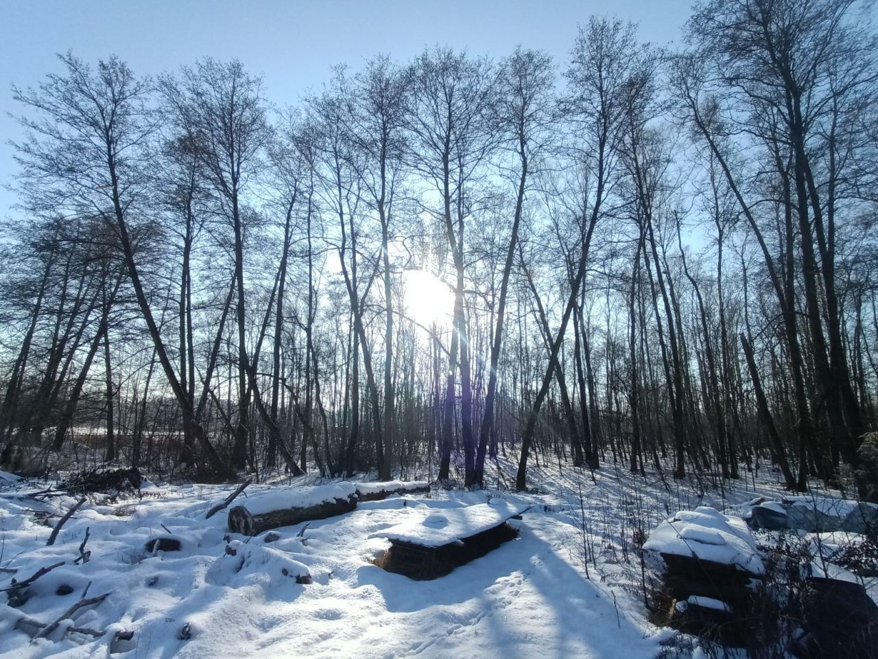 Działka budowlana Bedoń Przykościelny. Zdjęcie 4