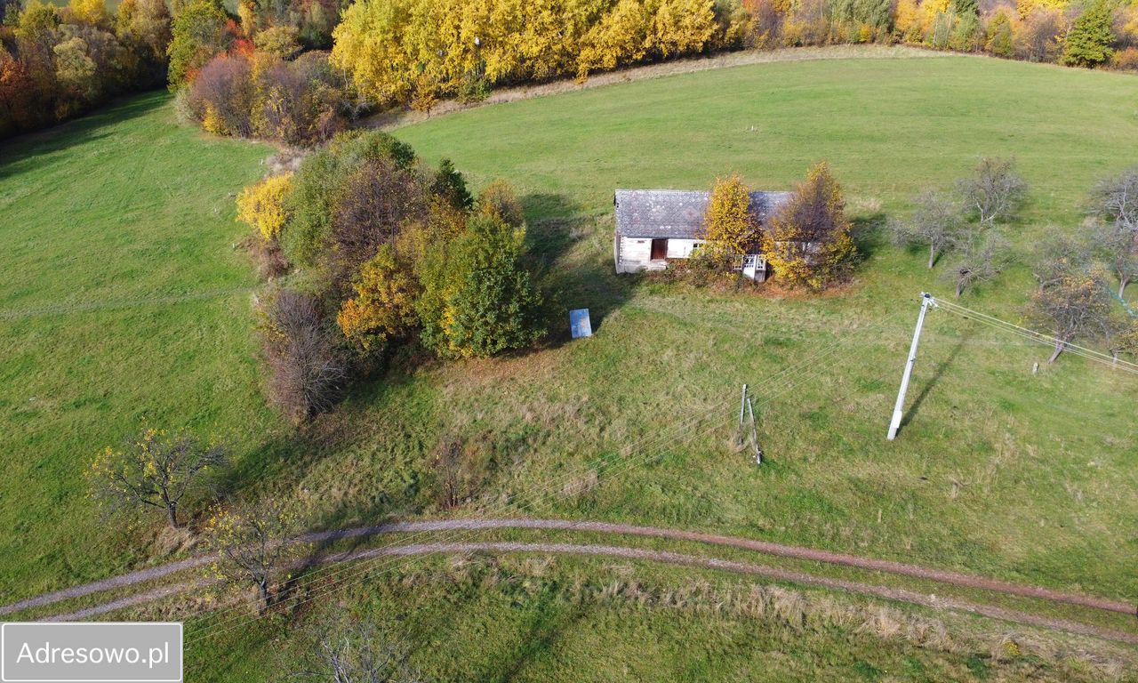Działka budowlana Sadek. Zdjęcie 7