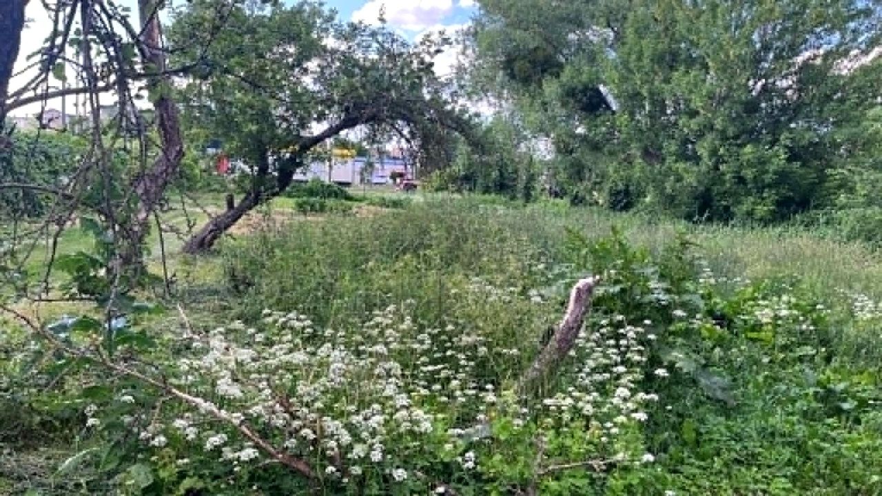 Działka budowlana Grajewo, ul. Wiktorowo. Zdjęcie 4